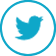 twit ico